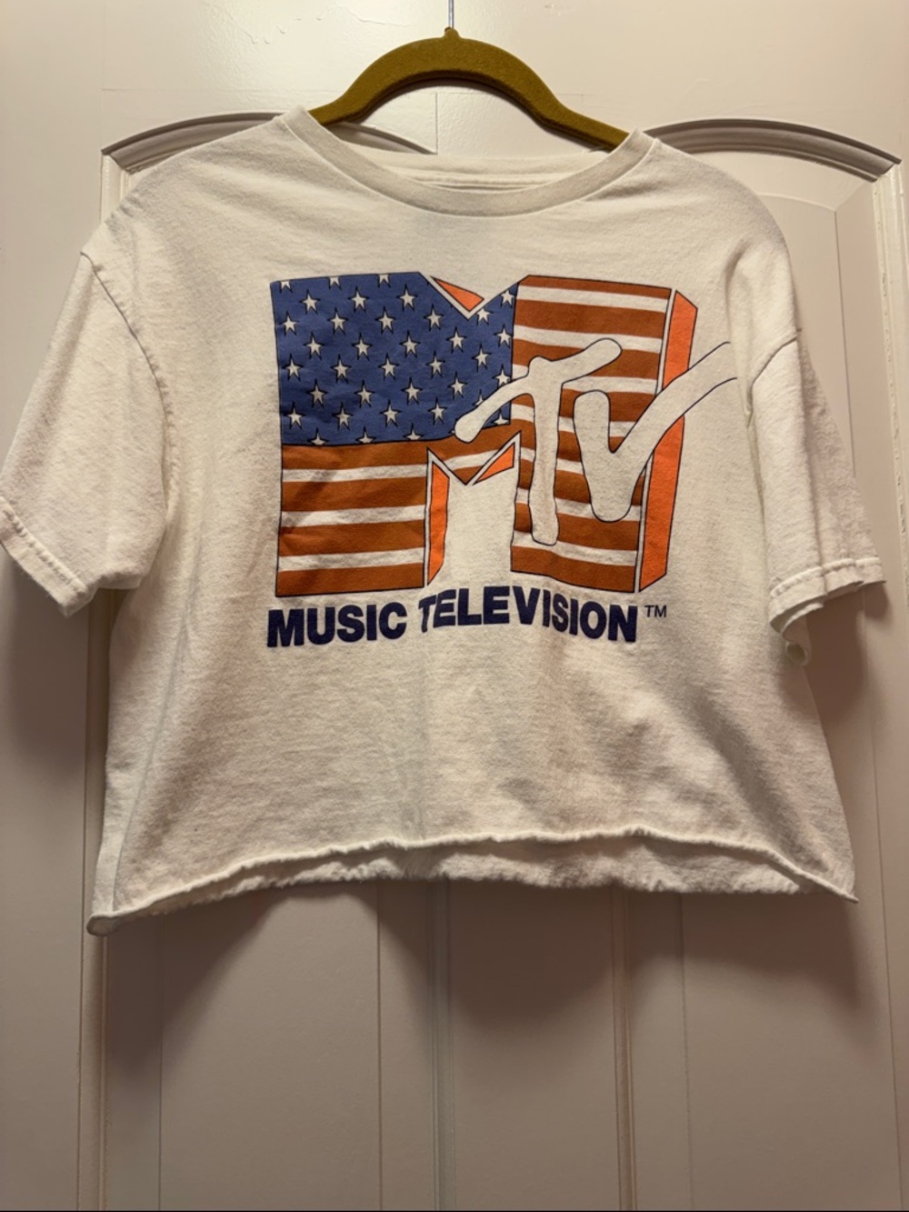 MTV Flag Logo Crop Tee - White, Red, Blue